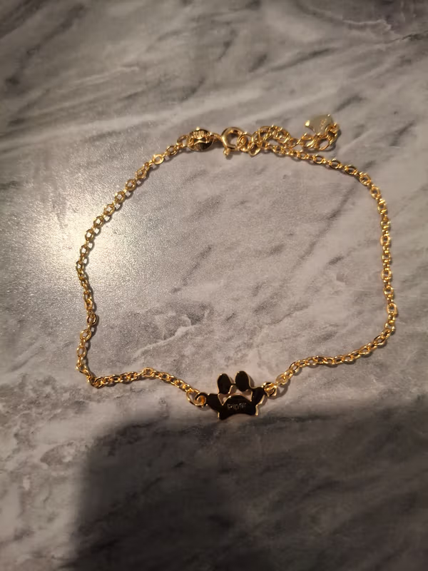 Bracelet patte de chien gravé au prénom du chien, photo cliente