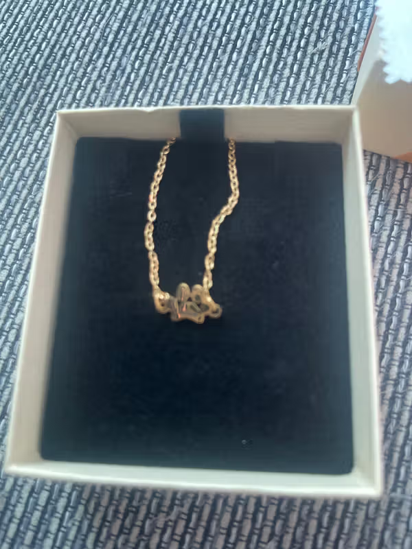 Bracelet patte de chien personnalisé, retour client Pétale Paris