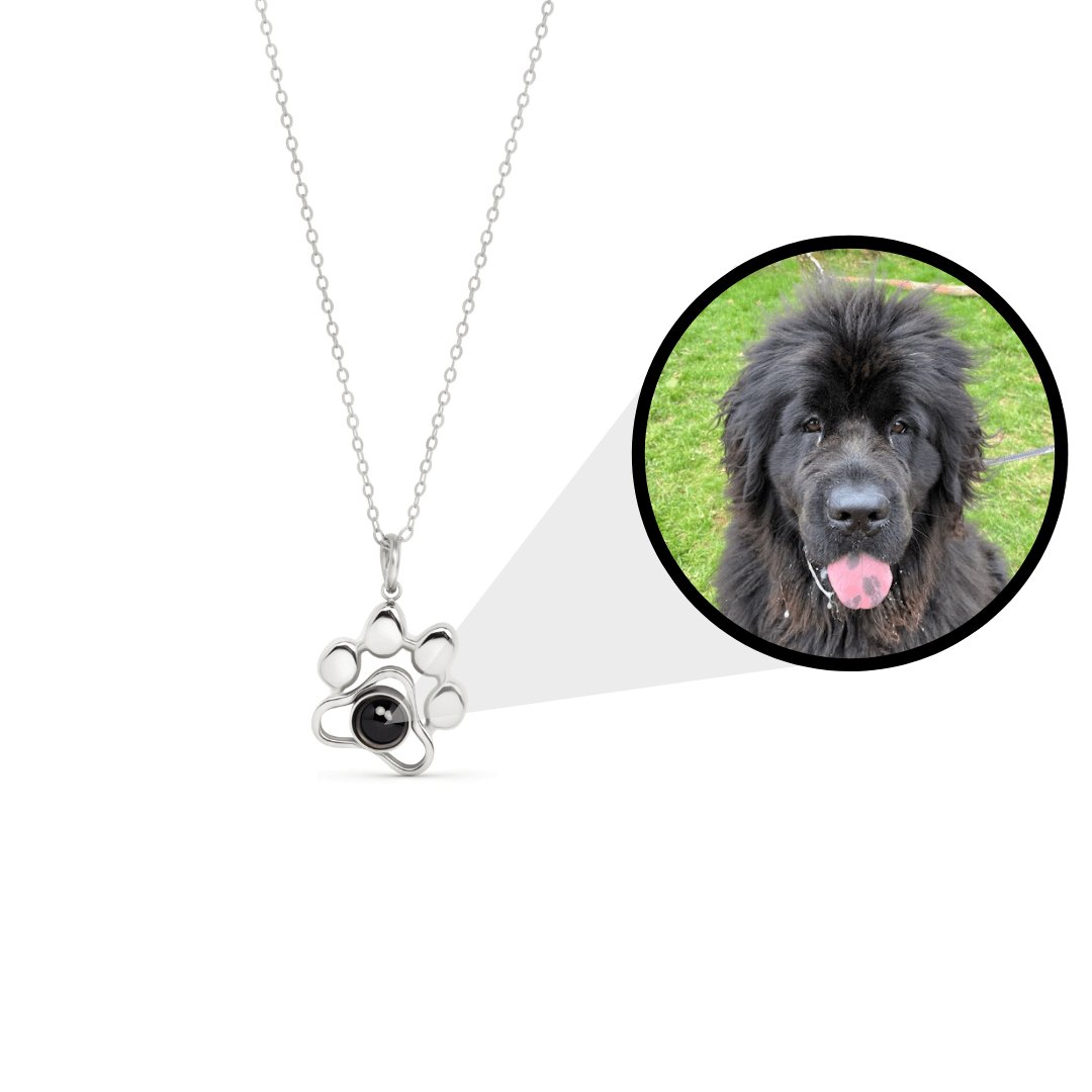 Pendentif patte chien projection photo personnalisée chien noir - bijou mémorial animal photo cachée Petale Paris